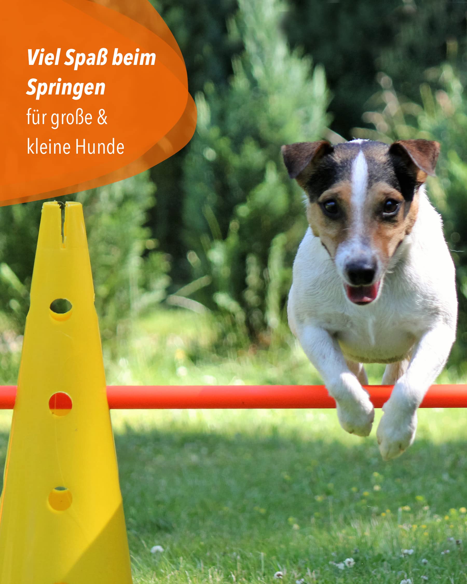Kombi Kegel 40 – 4 im Set – für den Aufbau von Hürden- oder Slalom-Parcours für Agility-Training – Sprung & Slalom für Hund, Sport, Pferd & Kind