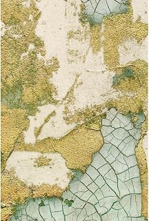 ArtDirect Biomes II Unframed Art Print Giclee Poster by Lam, Vanna - Ready for Framing with Customization Sizes 7x10, 9x14, 13x20, 24x36, 32x48, and 40x60 Inches