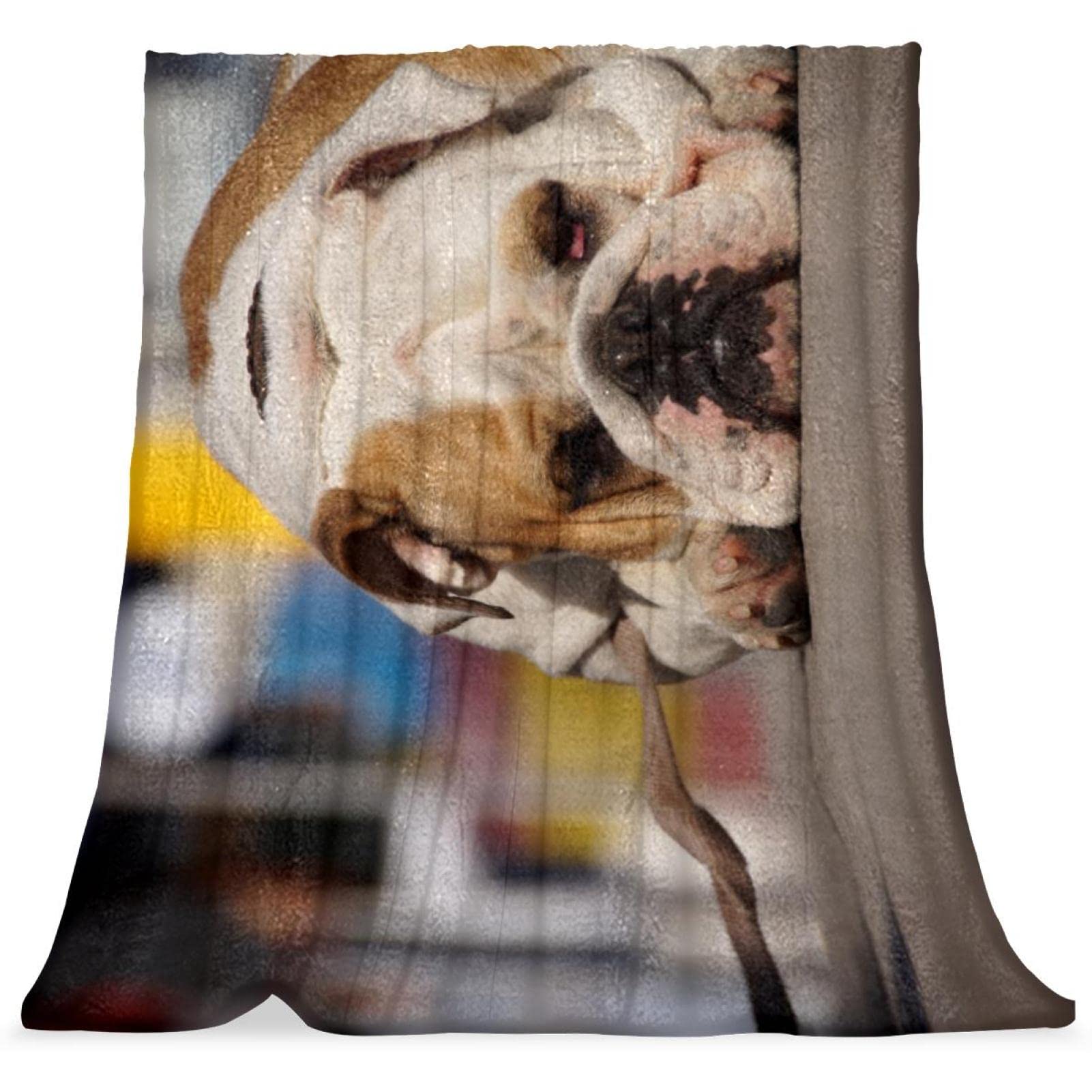Couvre-lit pour garçons filles TBOUOBT couverture lit douce bouledogue