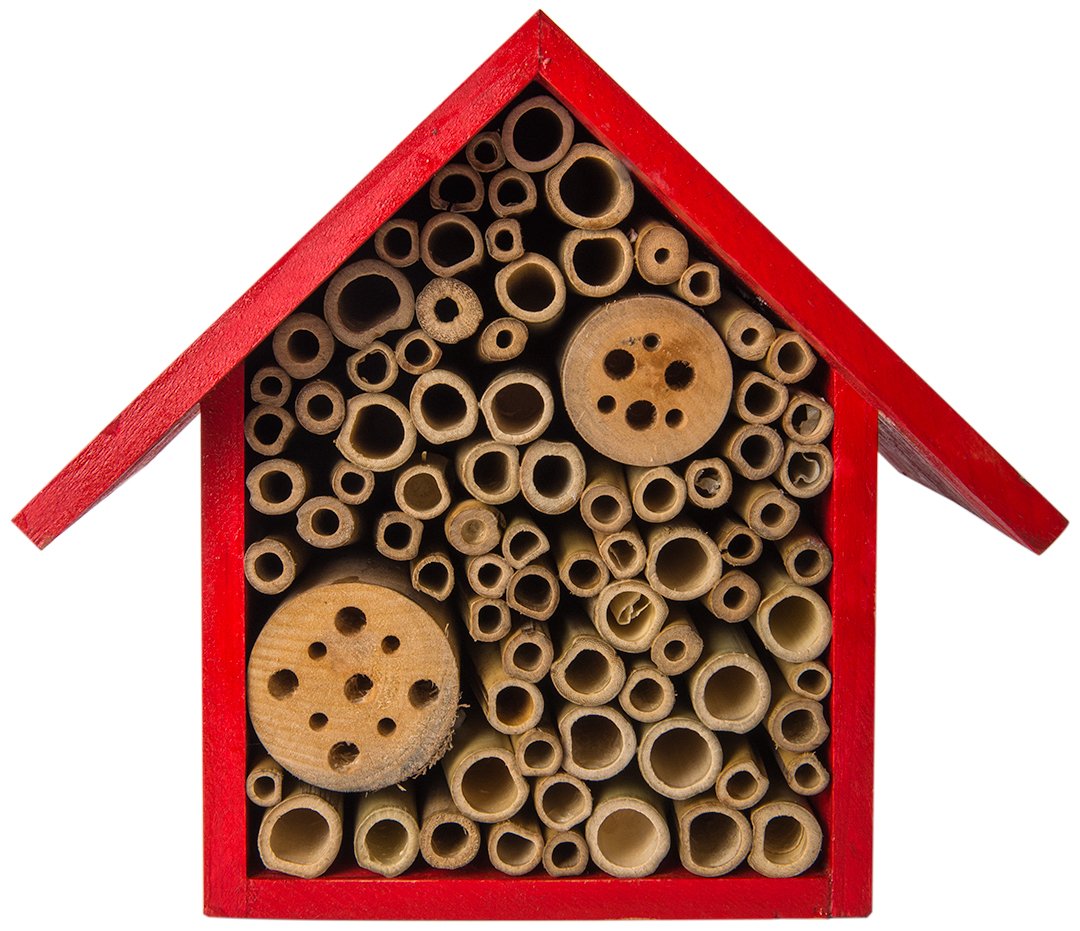 SuperMoss (56111) Heather Beneficial Bug Hotel, Bam Red