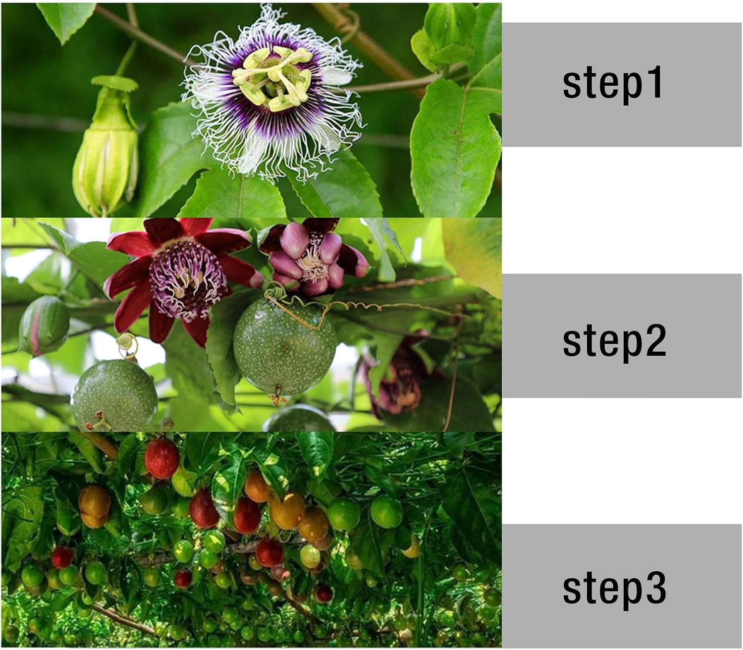 LED Grow Light, 156pcs Lamp Beads Full Spectrum Plant Lamp Plant Growing Lamp for Greenhouse Indoor AC 100‑277V