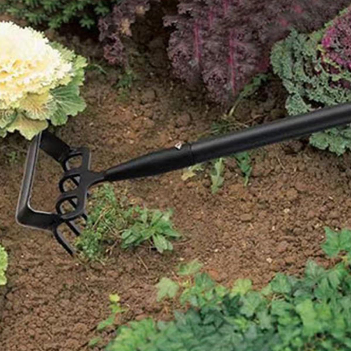Rastrillo de Deshierbe para Jardín, Azada de Acero Inoxidable Negro | Herramienta Manual para Labrar, Aflojar Tierra y Abrir Zanjas, Uso de Jardinería, Formato Pequeño