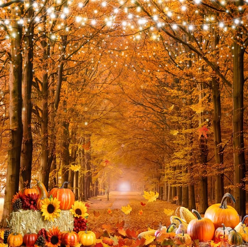 Amazon.com : Pnylzzyxh Autumn Forest Backdrop Fall Leaves Pumpkin