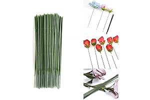 100Pcs Stems for Eternal Roses