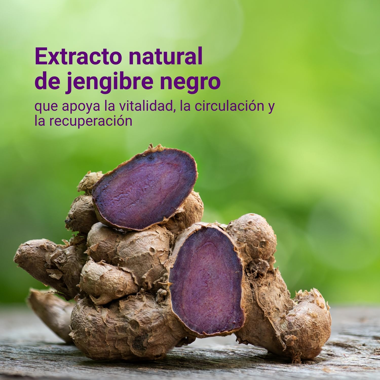 Carnium Botanicals Black Ginger Extract – Jengibre en capsulas de alta concentración – Gengibre Sin Gluten y Sin Lactosa – 30 cápsulas