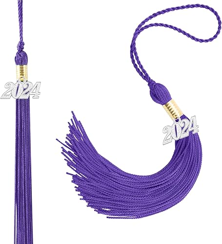 Miniatura 1 de 2 borlas de graduación académica 2024 borla para graduación 2024 borla para graduación, sombrero, decoración borla con dije de plata 2024,