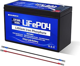 ECO-WORTHY 12V 8AH LiFePO4 Battery,4000+ Cycles Lithium Deep Cycle Battery with 8A BMS,for Solar,Fish Finder,Power Wheels,Lighting,Alarm System