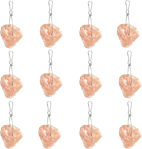PINVNBY Bloque de sal del Himalaya para lamer conejo, 12 piezas de bloques de sales minerales naturales rosas para mascotas pequeñas con gancho para