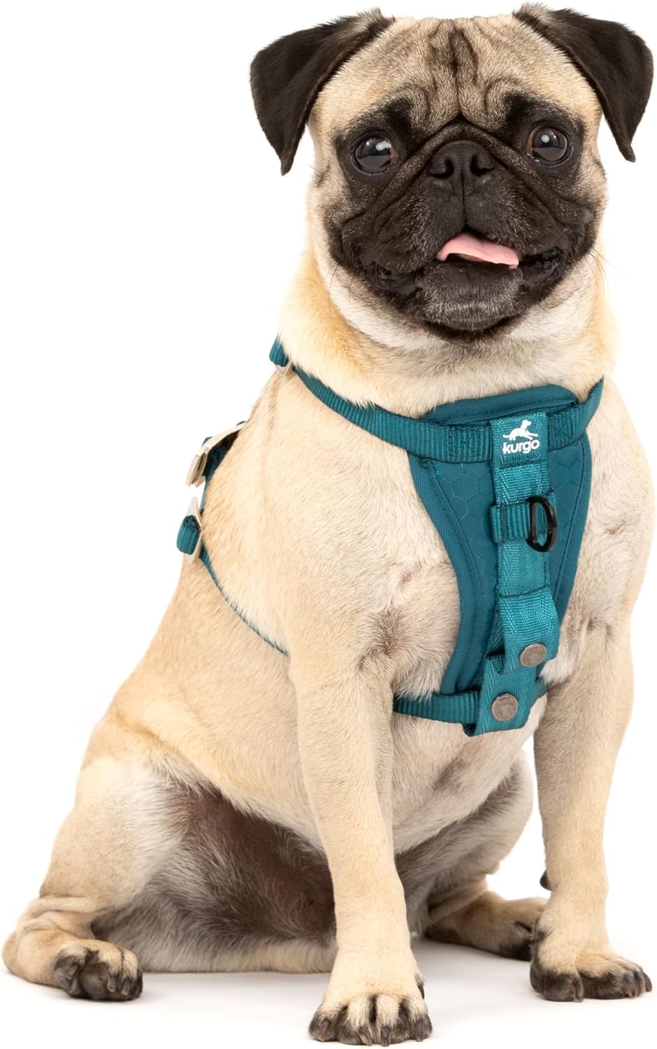 Kurgo Enhanced Strength Tru-Fit Dog Car Harness - Pet Travel Safety Harness - Crash Test Certified Fit - Five Point Adjustment - Secure Buckle - Padded Chest - Ink Blue - Small