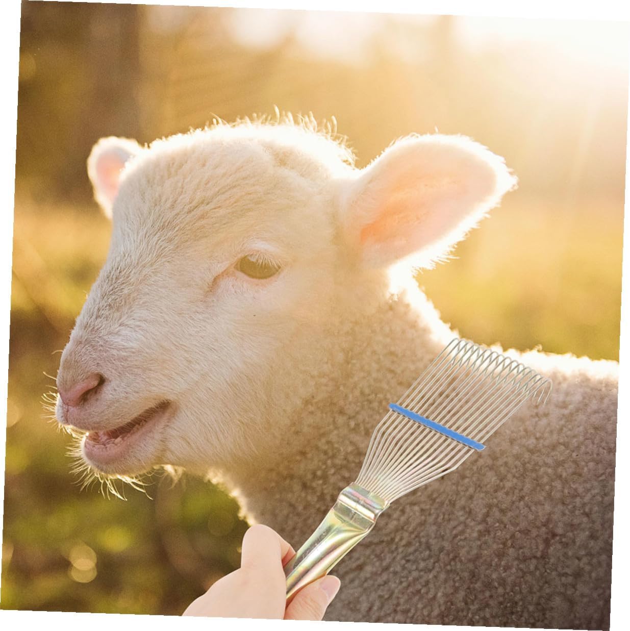 2pcs Wool Rake for Livestock and Horse Shedding Grooming Brush, 23cm Small Yellow Sheepskin Wool Cleaning Tool with Metal Comb for Cattle Coat Care and Scratching