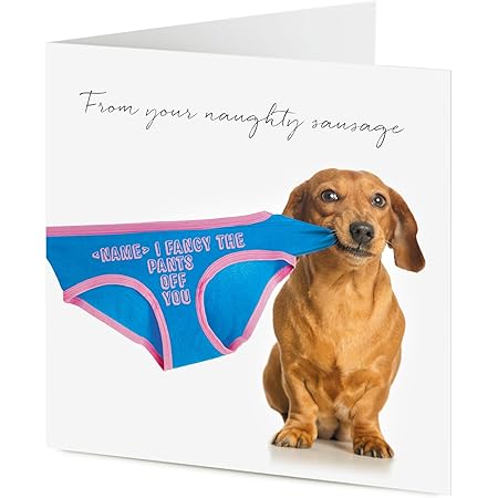 dachshund season pants