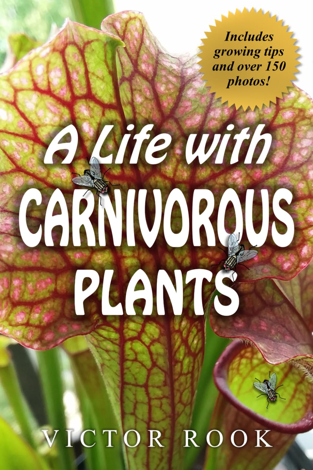 A Life with Carnivorous Plants      Paperback – February 1, 2024