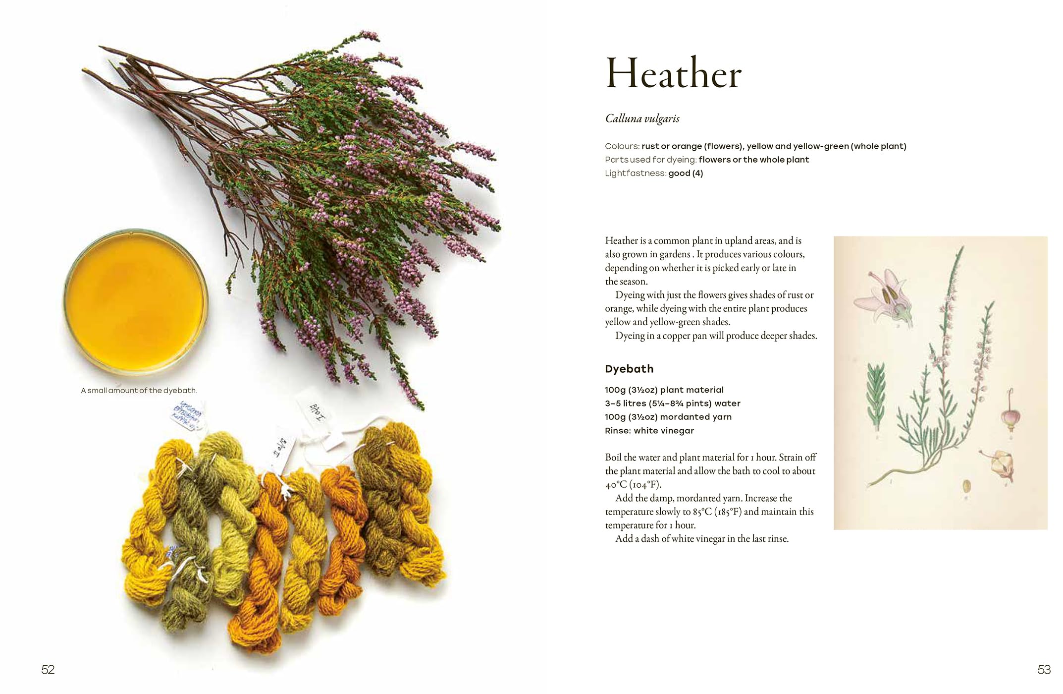 Natural Yarn Dyes: 25 Vibrant & Sustainable Recipes