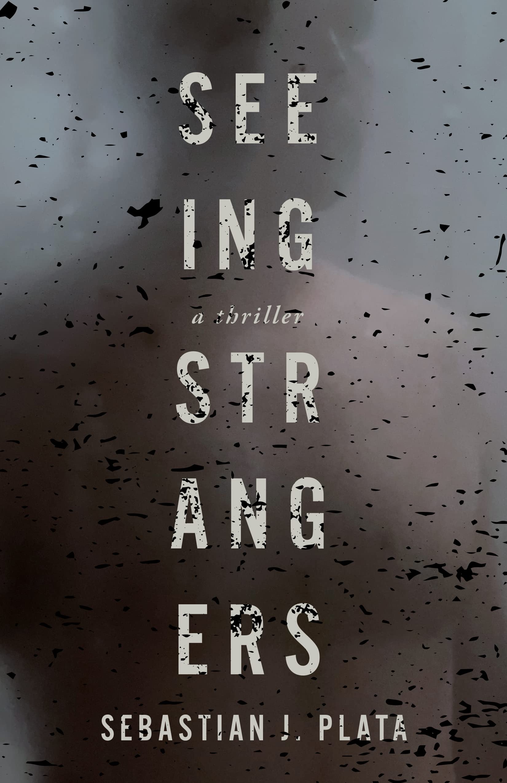Buy Seeing Strangers — BookShops.in