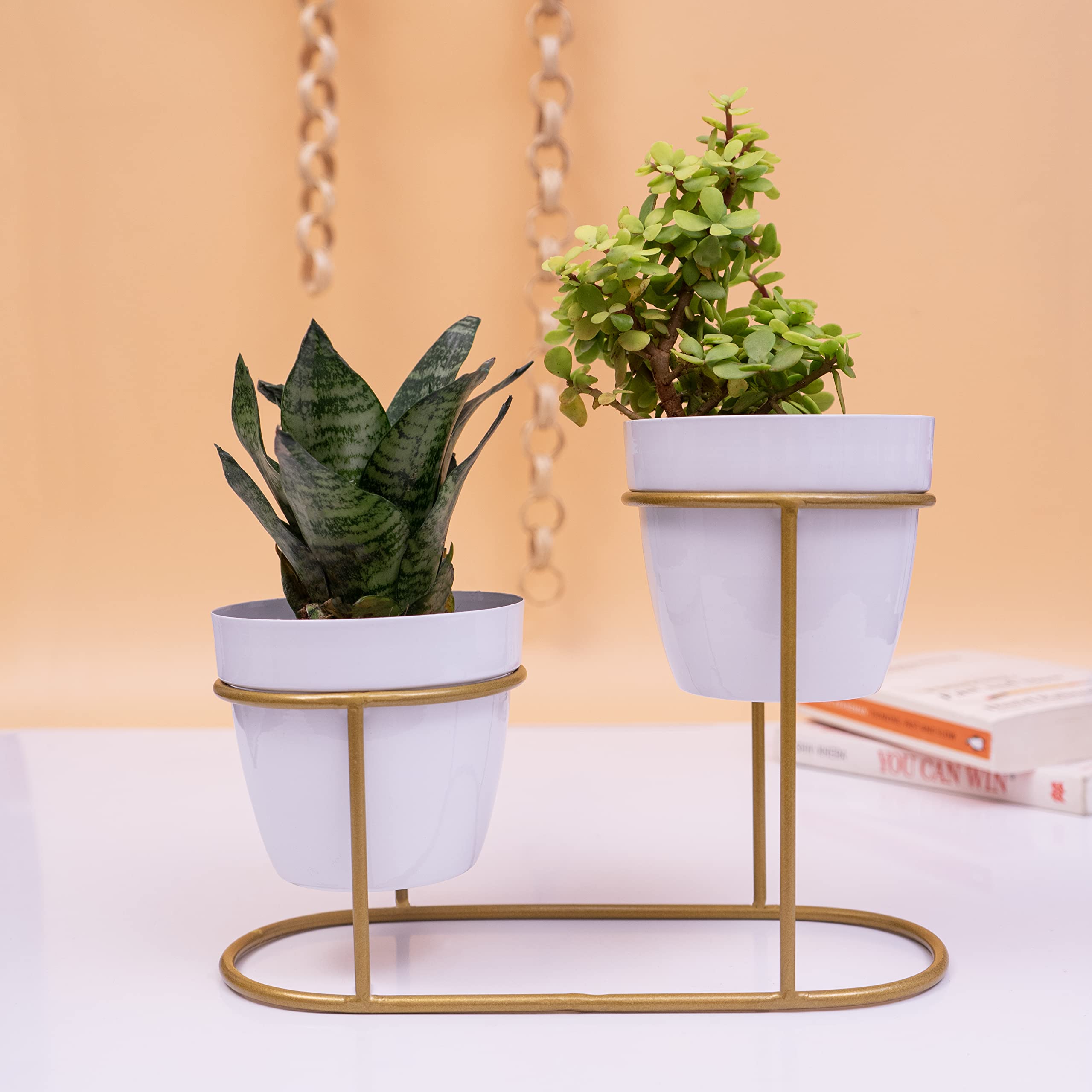 KYARI Vanessa Mesmeric White, Metal Oblong Pots & Planters Pack of 1 (B09STYH4P2) Amazon Price History, Amazon Price Tracker