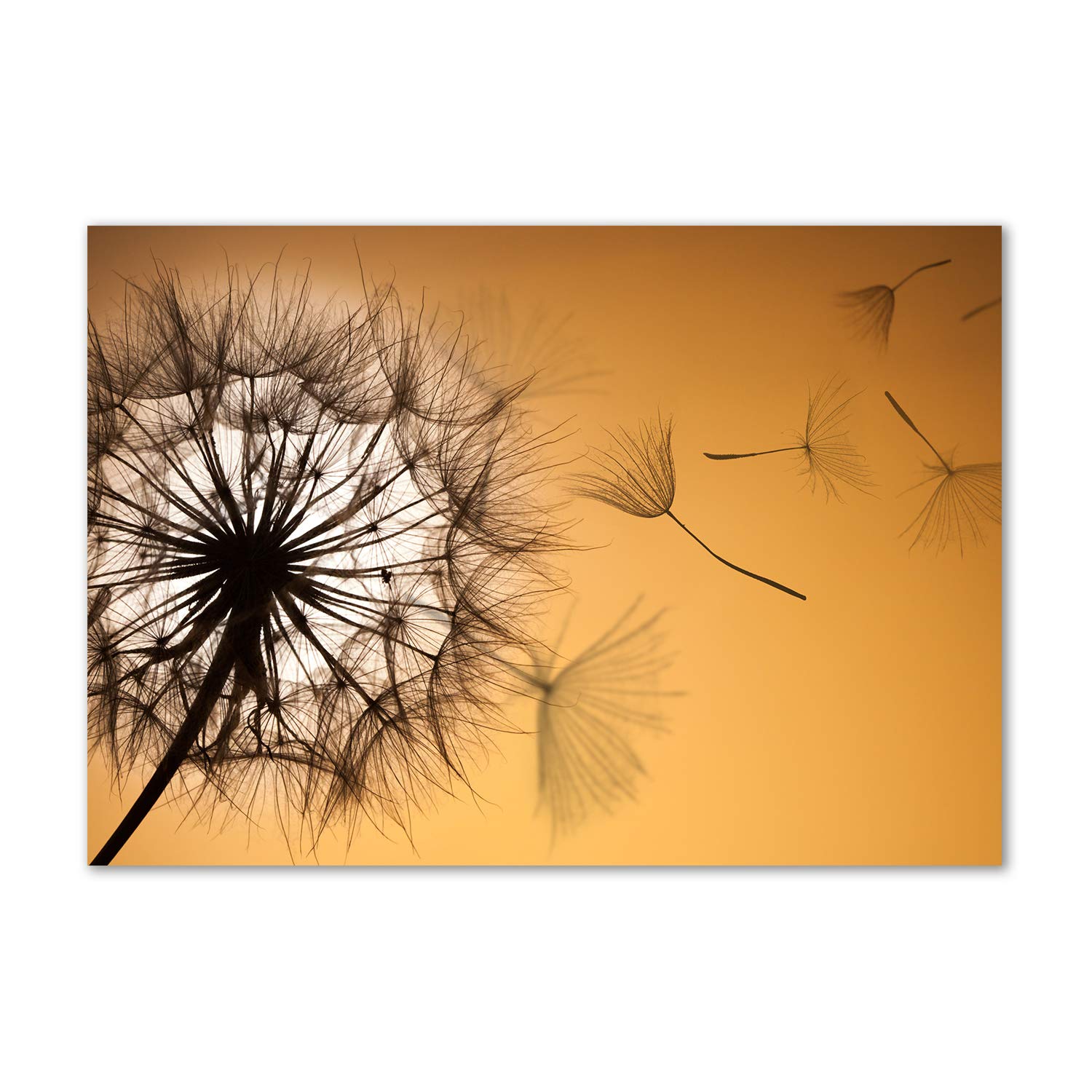 Tableau acrylique Tulup Naranja incassable et léger pour remplacer le verre fragile