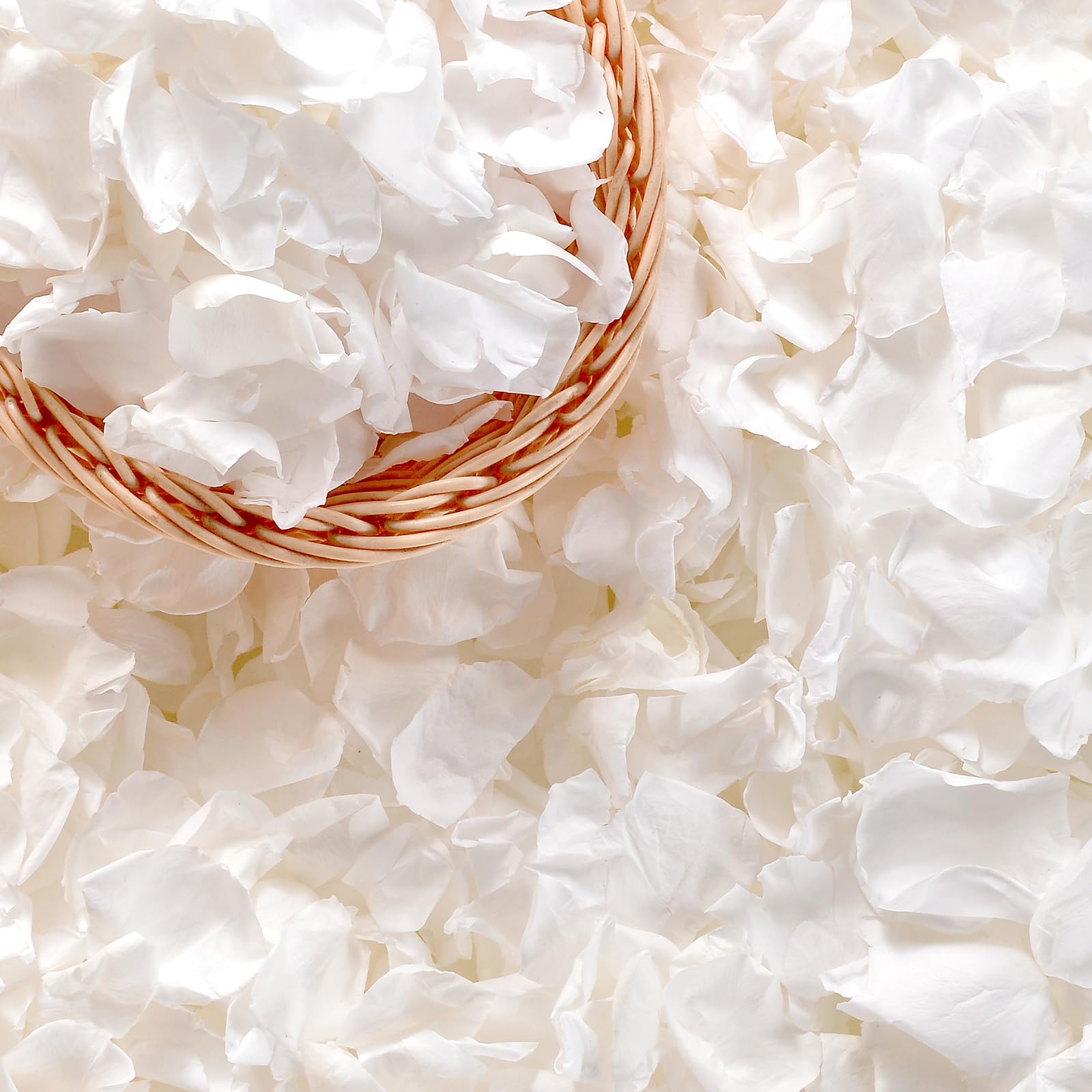 Eslibin 500+ petali di rosa bianchi veri, 130 g, petali di fiori bianchi conservati per matrimoni, petali di fiori secchi per baby shower, feste nuziali, decorazione da spargere sulla tavola