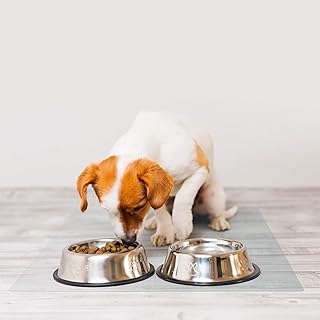 Floortex P-Tex Pet Mat 48