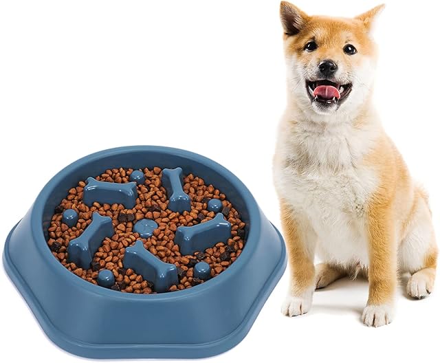 Puppies Slow Feeder Dog Bowl, Lovely Slow Eating Dog Bowl, Small Medium Dogs Funny Slow Feeding Pet Bowl Blue