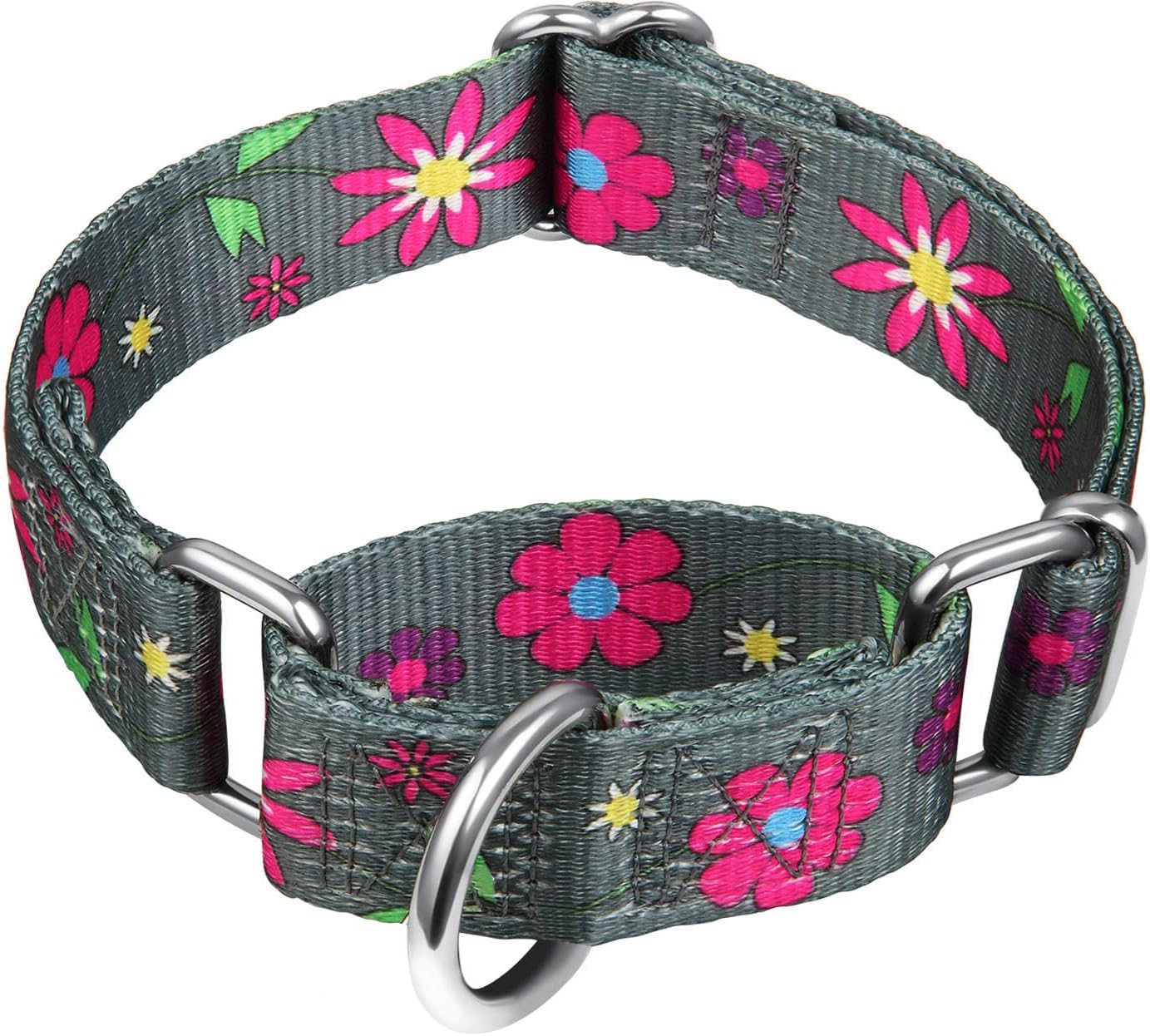 Martingale Collar Floral Print Dog Collar Dazzber No