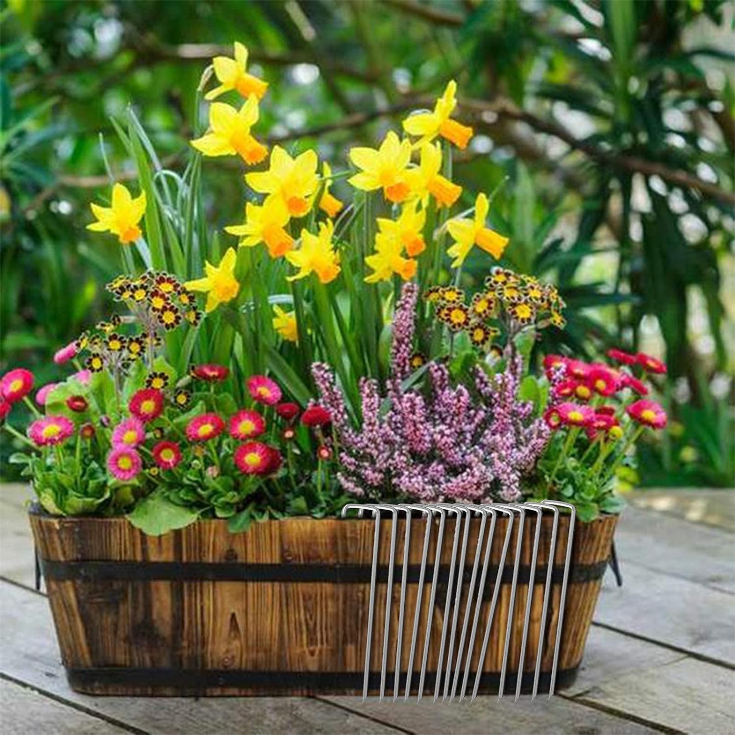 Picchetti zincati da 30,5 cm, 25, 50, 100 graffette da giardino antiruggine a forma di U per fissare il tessuto del prato (127, 30,5 cm)