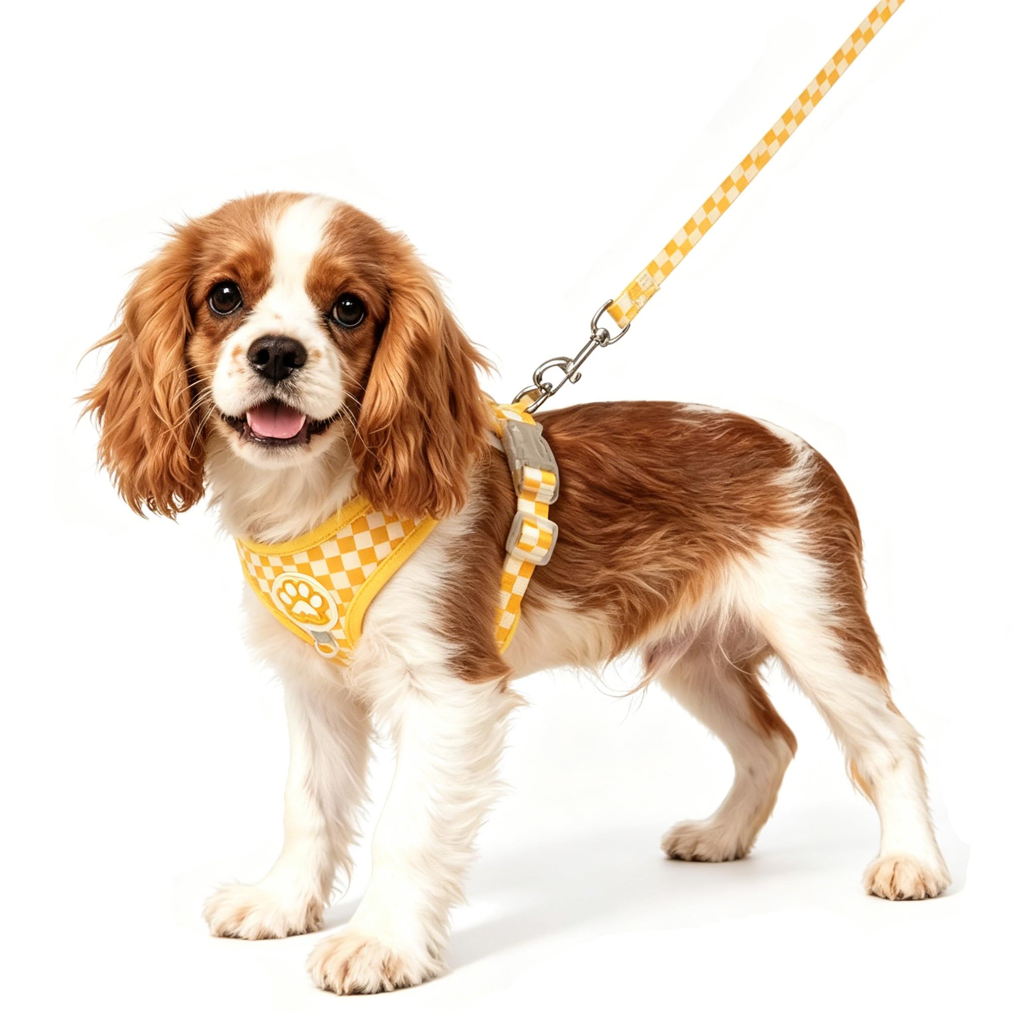 Embhlitfe Small Dog Harness and Leash Set Checkered Plaid Dog Harness, Breathable Mesh Puppy Harnesses for Small Dogs Cats, Easy Control Walking Harnesses & Lead Set for Outdoor Travel