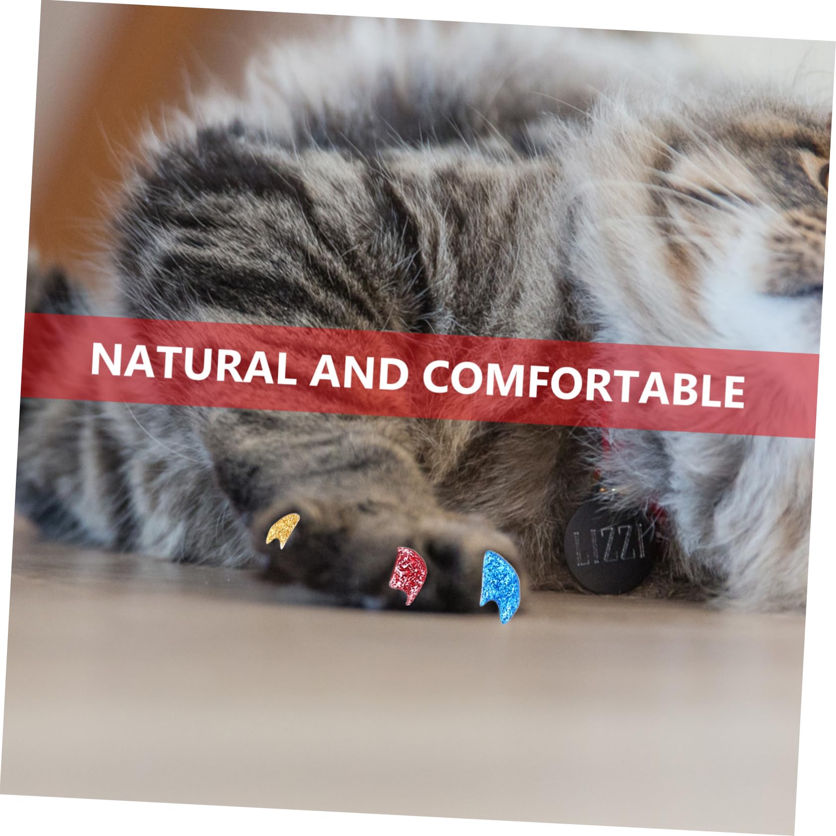YARNOW 320 Pcs Ensemble D'Ongles pour Animaux De Compagnie Couvre-Griffes De Chat Bouts D'Ongles De Chat Capuchons D'Ongles De Chat Pattes De Chat Protecteurs De Griffes De Chat Pattes