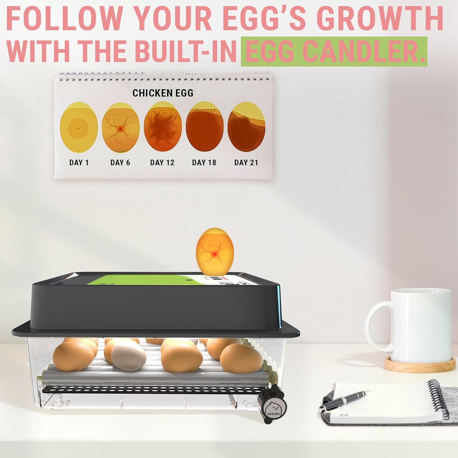OBI-36 Incubator for Hatching Eggs – 36 Eggs, Easy to Use, Stable Temperature & Humidity Control with Eggloo Insulation - Green