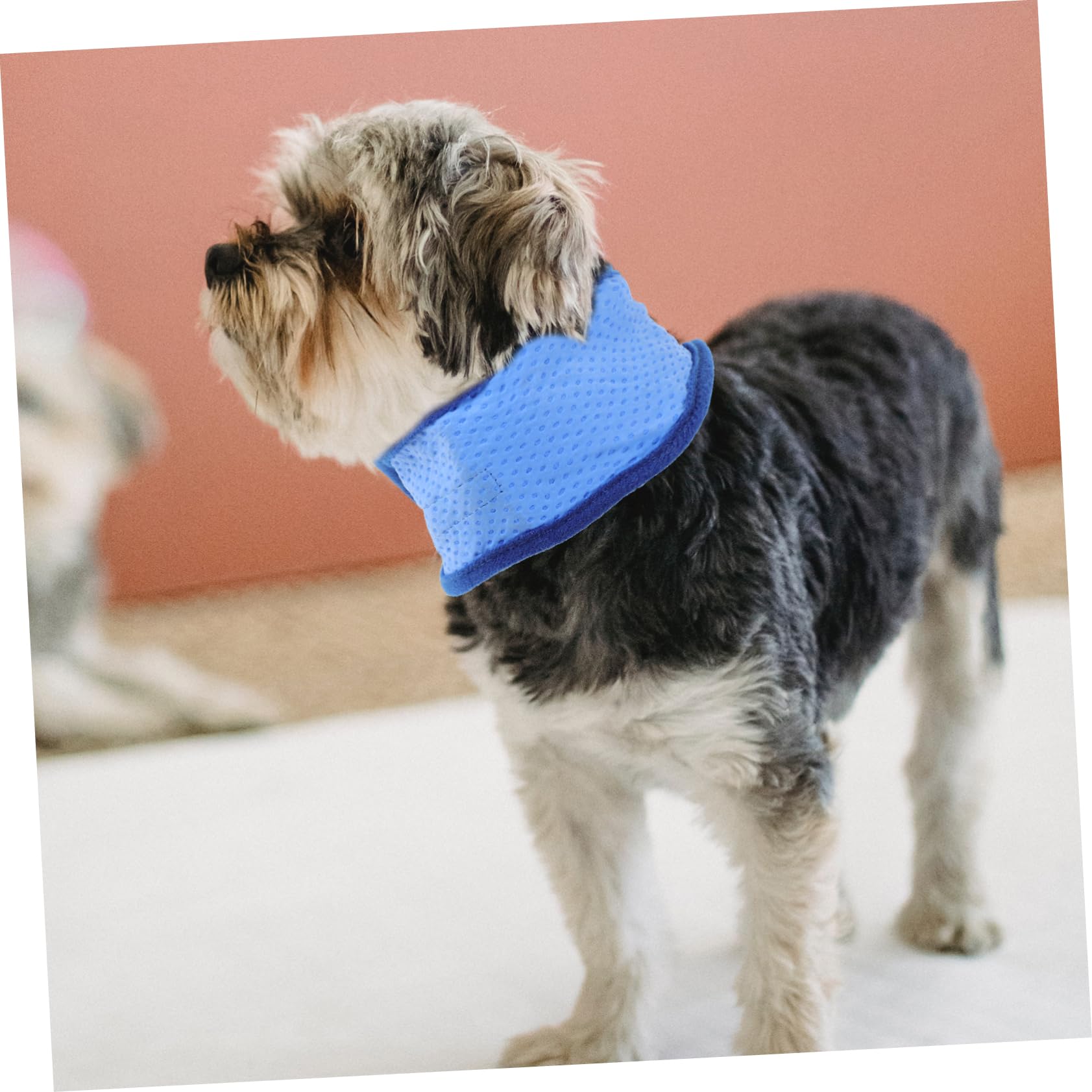 INOOMP 6stücke Kühl-Halsband Für Hunde Atmungsaktives Sommer-Bandana Hitzeableitende Haustier-schal Für Komfortable Abkühlung An Heißen Tagen