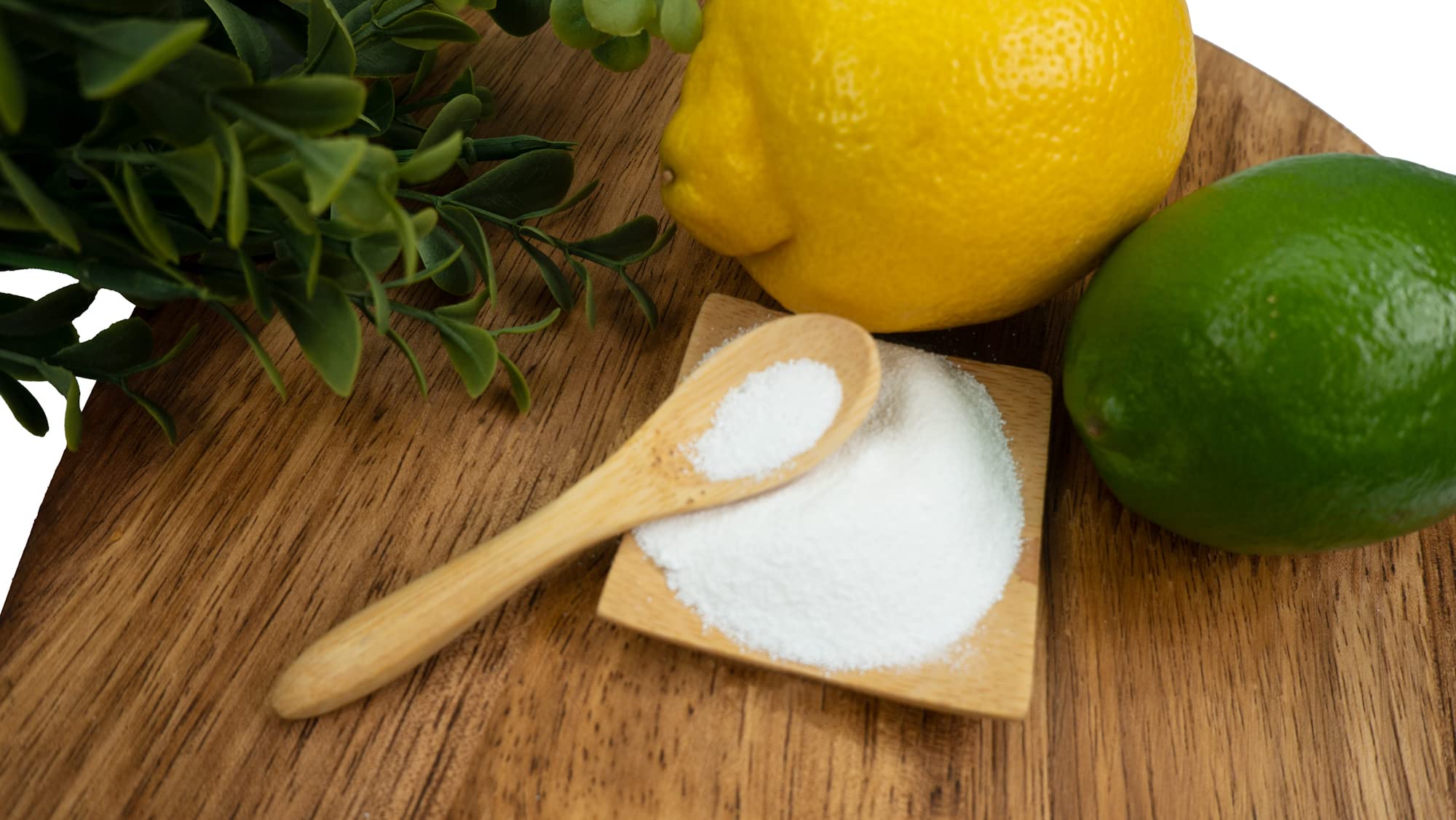 Citric Acid 1 lb. 100% Pure USP Food Grade | Kosher | Fine Gain Granular Powder | Preserve,Cook, Clean & DIY Bath Bombs