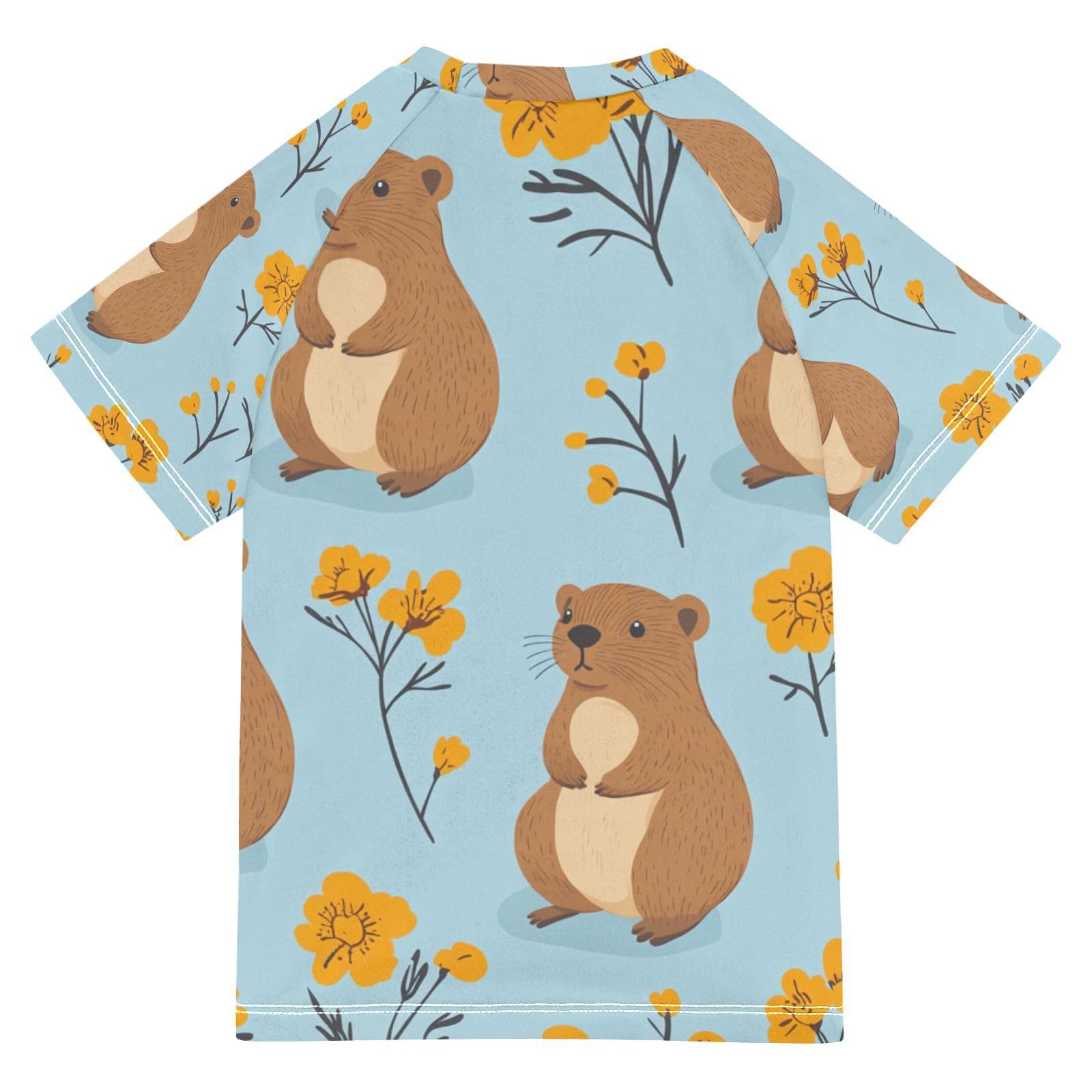 Jucciaco Boys Swing Shirts Flower Otter Blue Groundhog Rashguard Short Sleeve Kids T-Shirts Sun UPF 50+