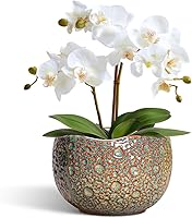 Vista 12 de Macetas de Cerámica Thirtypot - Maceta de 4 Pulgadas con Agujero de Drenaje, Macetas Pequeñas para Plantas de Interior y Exterior, Maceta Redonda