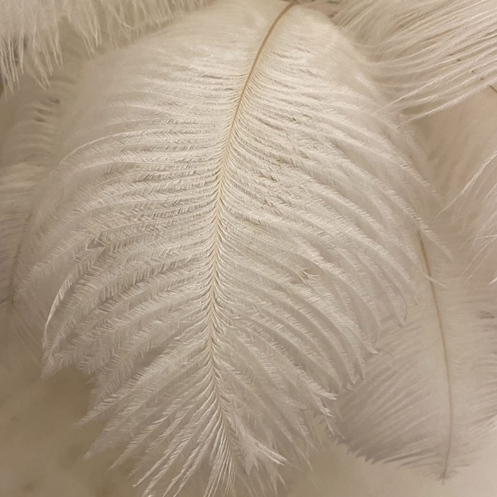Lámpara de Mesa de Plumas, Interruptor Táctil, Lámpara de Pluma de Avestruz USB, Luz Cálida Junto a la Cama, Lámpara de Pantalla de Plumas, Luz de Noche de Mesa, Lámpara de Escritorio de Atenuación de