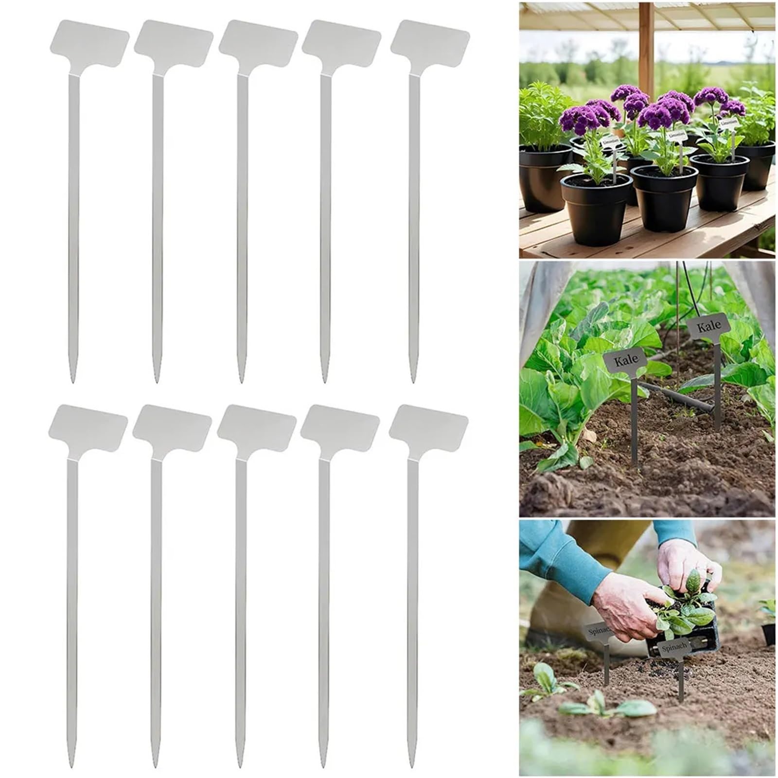 Pflanzenschilder 10 Stück Metall-Pflanzenetiketten, wetterfeste Gartenetikettenmarkierungen, wiederverwendbar for Pflanzen, Gemüse, Sämlinge, Blumen