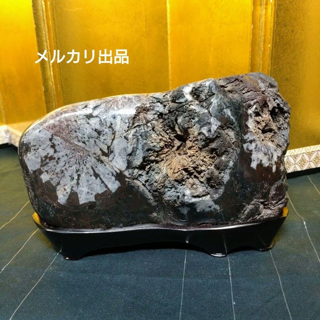 Amazon.co.jp: 菊花石 岐阜県根尾谷産1.6㌔ 鑑賞石 観賞石 水石 盆石 
