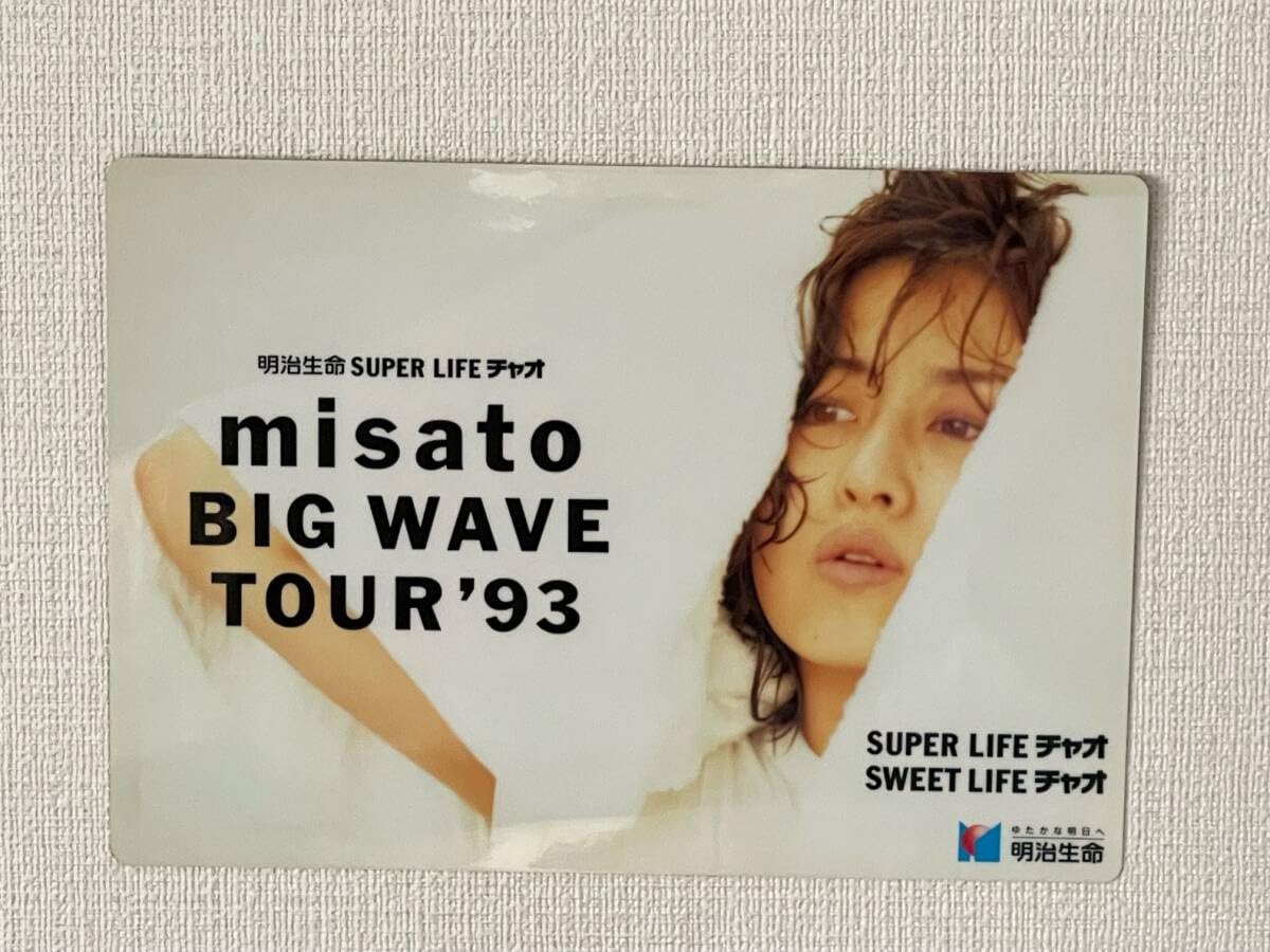 Amazon.co.jp: 渡辺美里 下敷き 1993 年 BIGWAVEツアージャングル