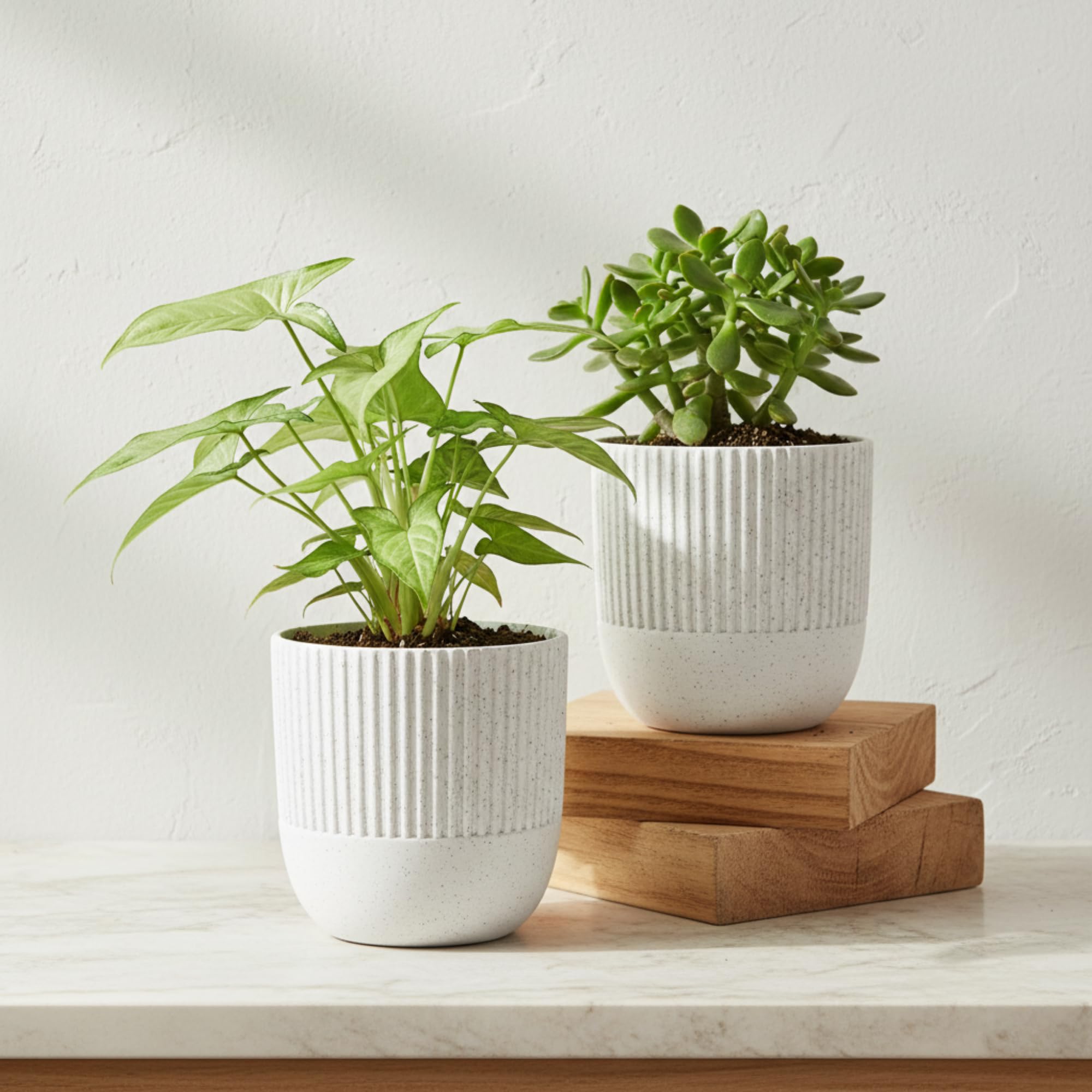 Kraft Seeds Icon 6 inch Round Table Top White Marble Planter Pack of 2, Lightweight & Durable UV Resistant Planters for Garden, Living Room, Indoor & Outdoor Lawn, Patio and Home Decor-image-22