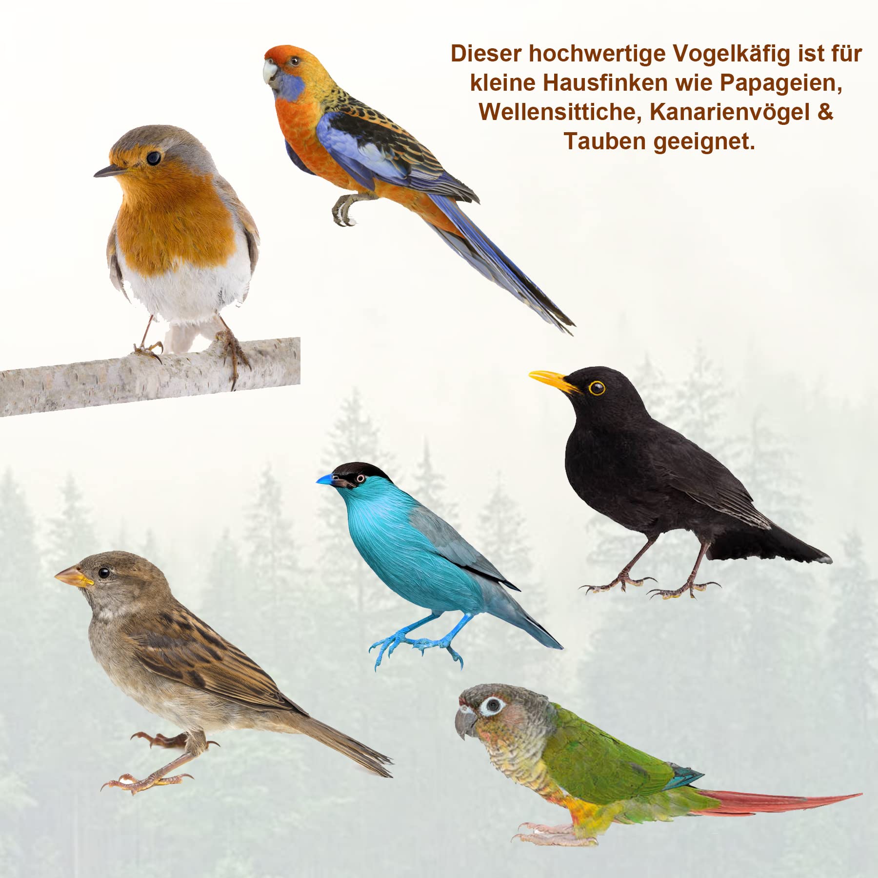 Froadp Pajarera para pájaros, jaula grande para periquitos, de metal, con barra de madera, comedero, columpio y juguetes, jaula de animales para loros, palomas, periquitos, pinzones (tipo A)