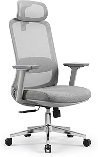 SkyLand Ergonomic Office Chair with Mesh Backrest