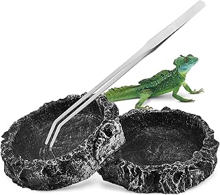 WOONEKY 2 Pçs Tigela De Comida Réptil Tartaruga Prato De Água Tigela De Água De Tartaruga Dragão Barbudo Tigela De Comida Leopard Gecko Acessórios Para Tanque Dispensador De Água De