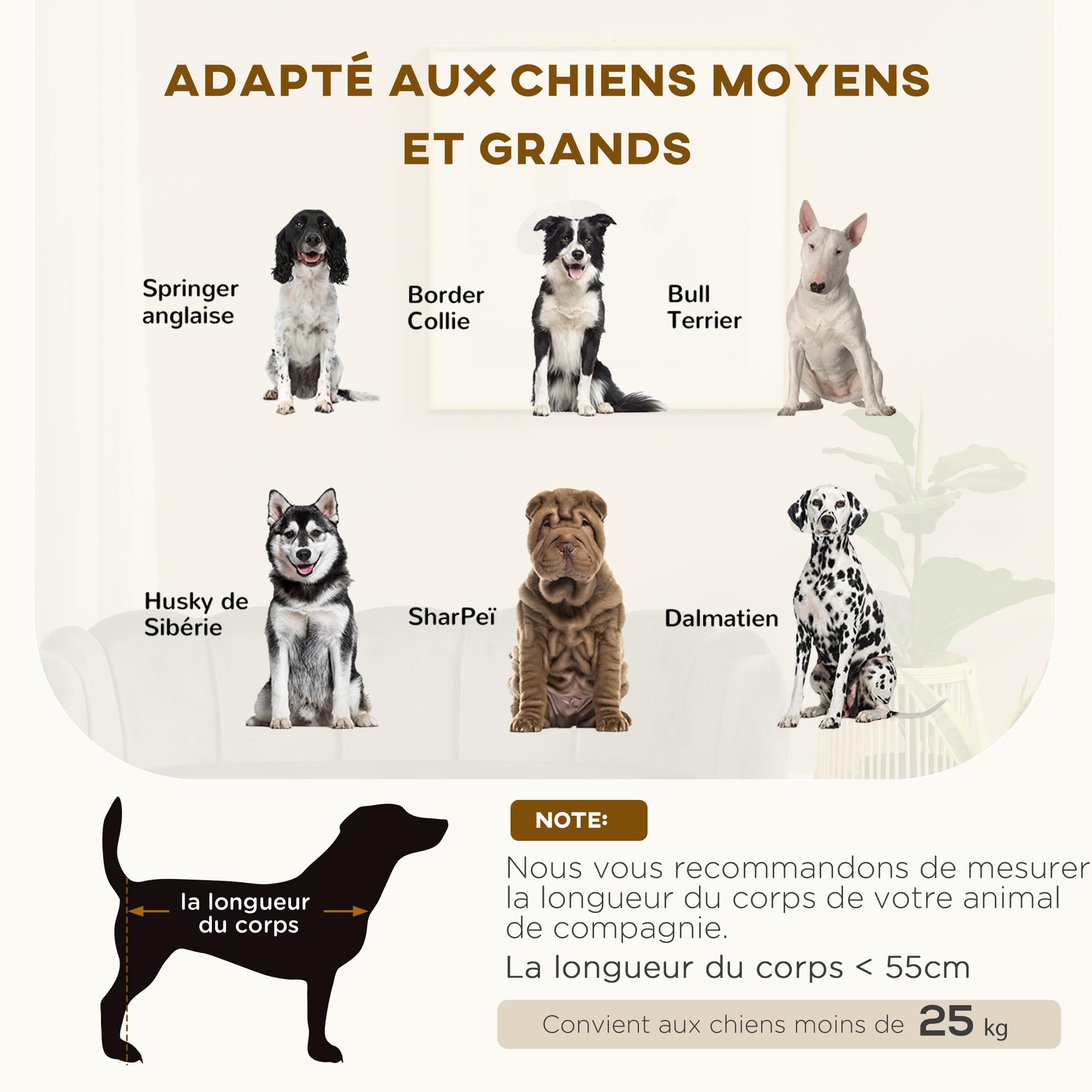 PawHut Canapé Chien lit pour Chien Chat Design Contemporain Coquillage dim. 98L x 60l x 35H cm Coussin Moelleux Velours Gris
