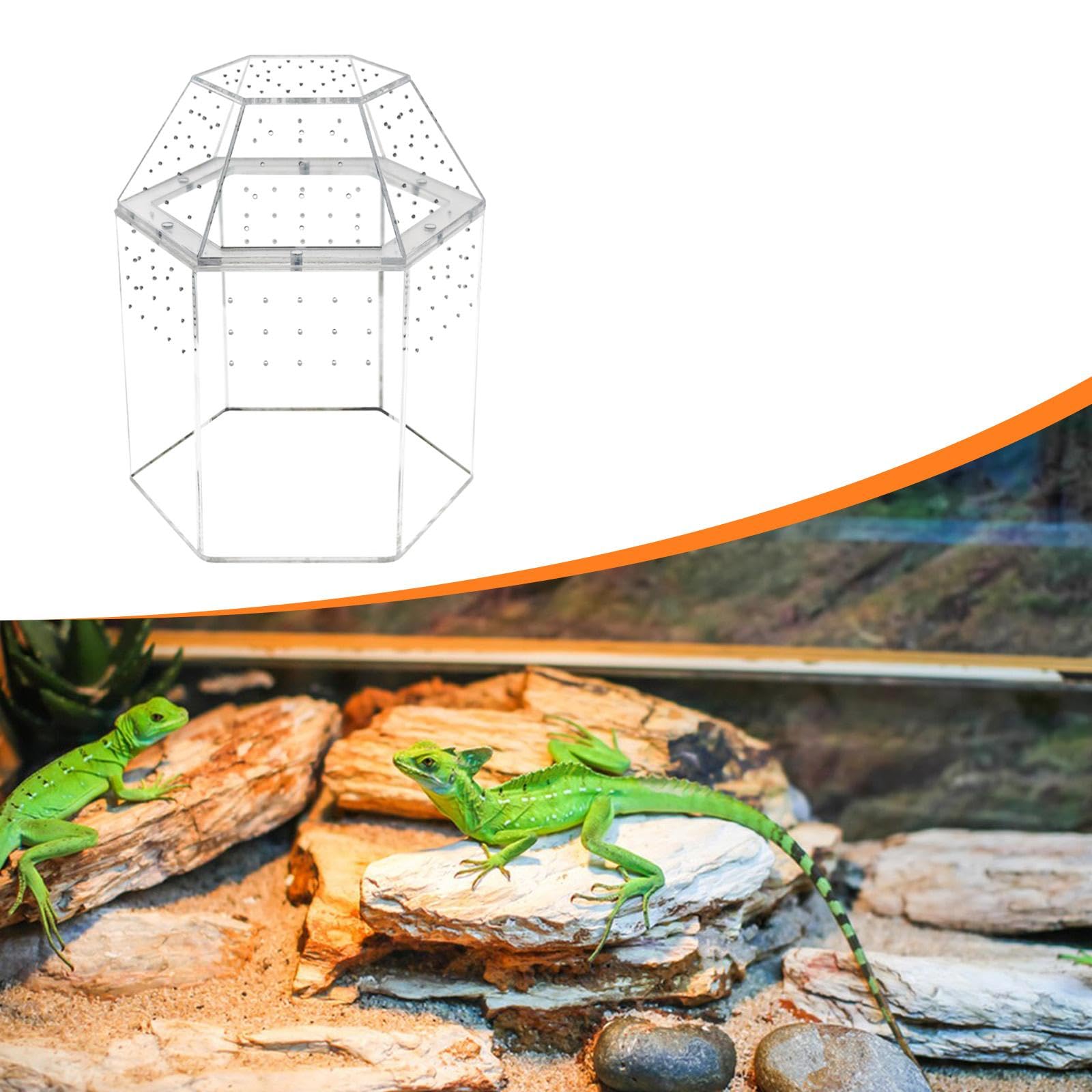 Reptilien Terrarium mit Mehrlochbelüftung, Kleinem Acryl Futternapf, Transparentem Aquarium Und Zubehör – Ideal für