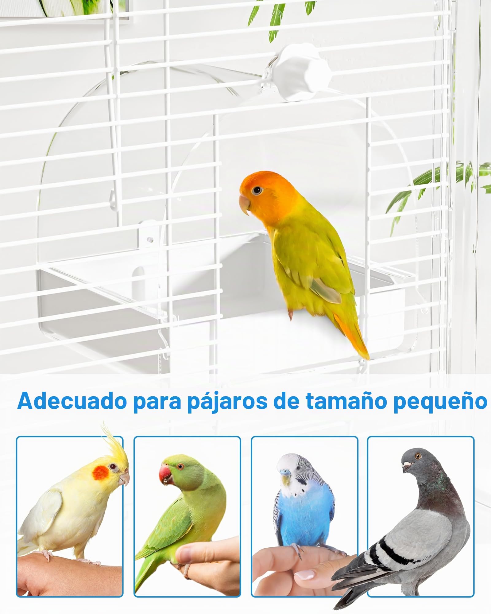 BUCATSTATE Casa de baños colgante para jaula de pájaros, 3 en 1, bañera para pájaros, cuenco, bebedero para pájaros, tazón, jaula de pájaros, accesorios para inseparables, pinzones, periquitos