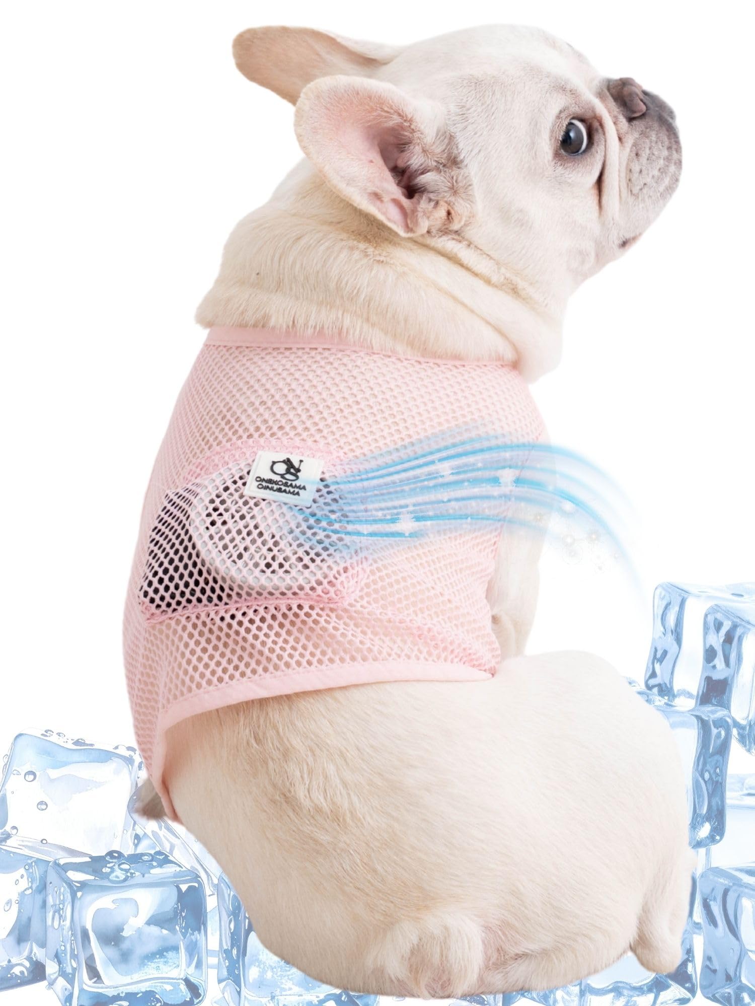 Amazon | 【30秒で-6℃】ONEKOSAMA OINUSAMA 空調ペット服 COOL DOG 犬