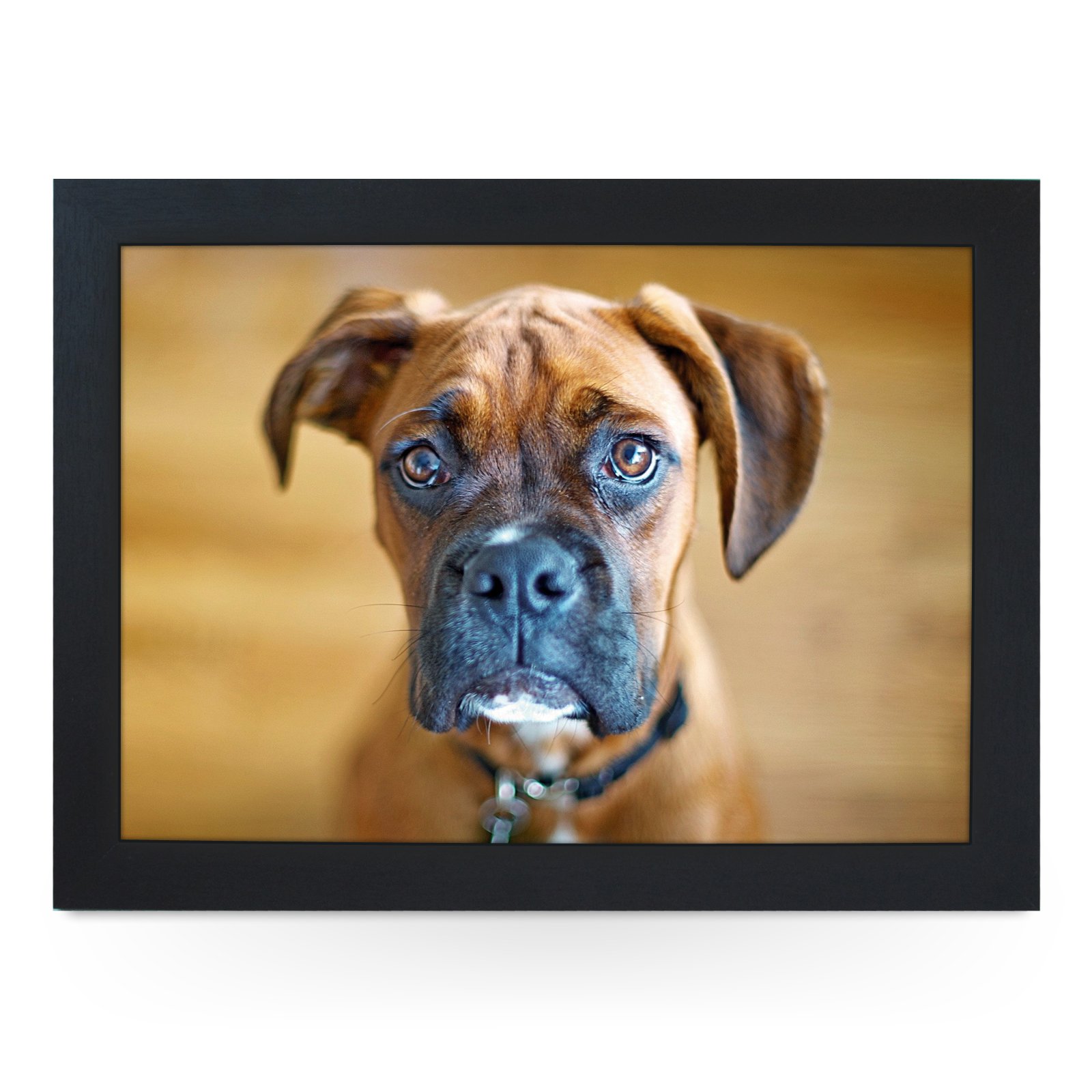 Yoosh Black Portable Lap Desk Tray (Boxer Dog) Handmade Wooden Frame, Beanbag Cushioned Bottom | Computers, Laptops, Meals, Food | L0169
