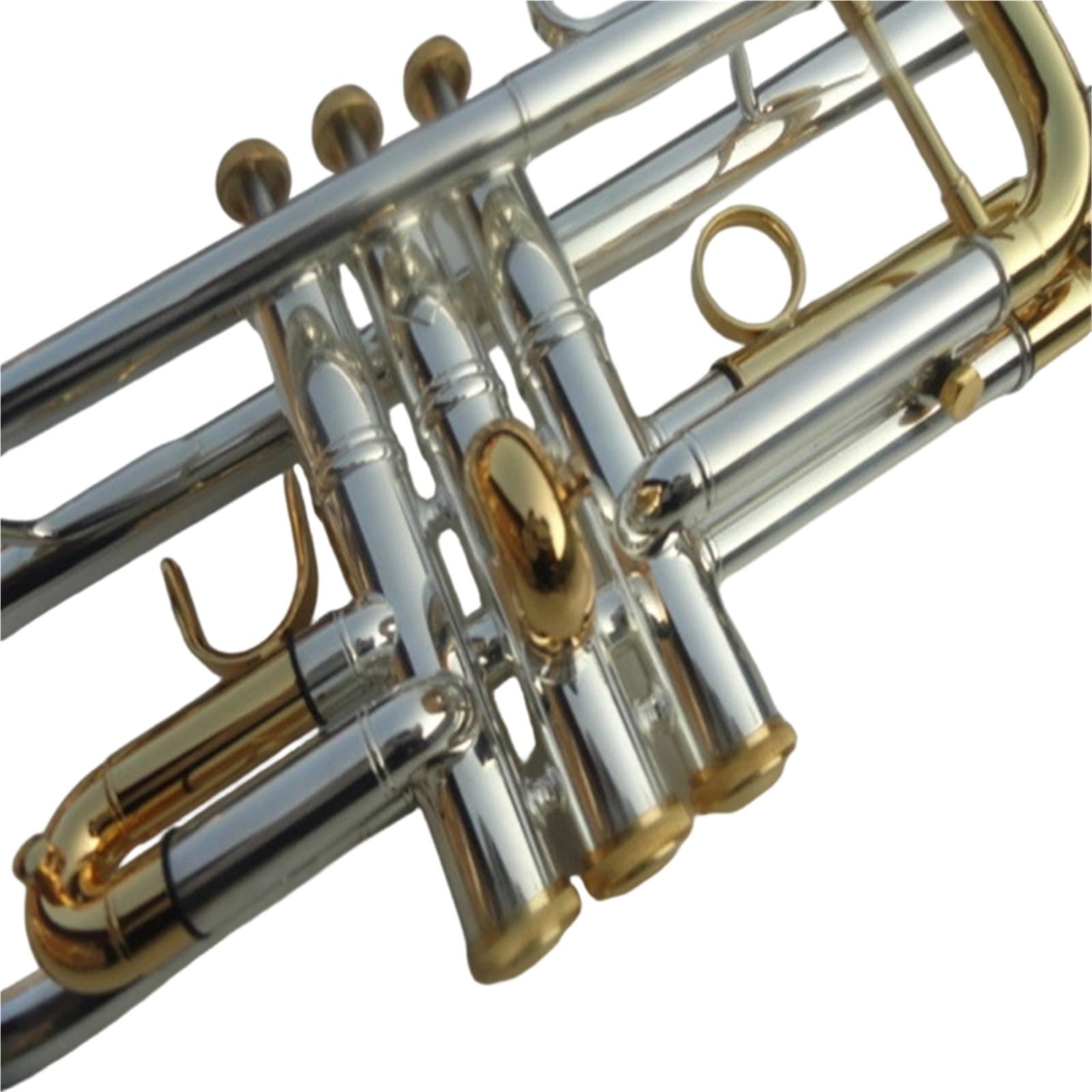 Instrument Muzyczny Trąbka Początkujący Dorośli Grający Na Instrumencie Trąbkowym C