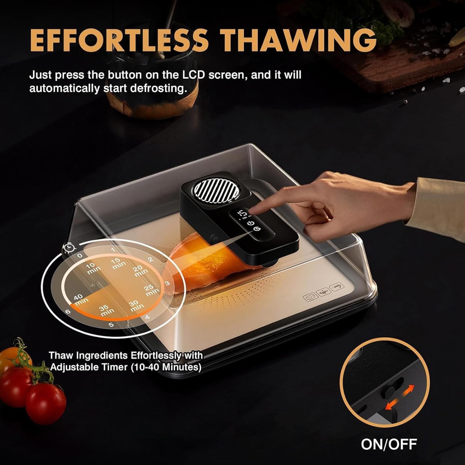 Scongelamento elettrico da 4,2 l, vassoio per scongelamento della carne, scongelamento rapido 10 minuti, ricaricabile USB 2000 mAh, non necessita di acqua per bistecca surgelata, pollo, pesce