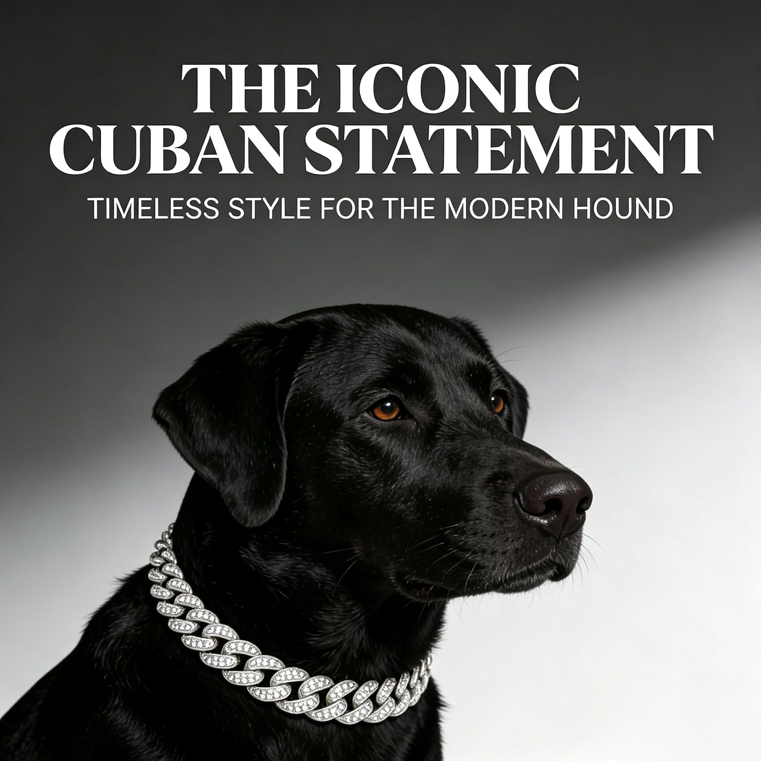 Cuban Link Dog Collar, 13mm Wide 18K Gold Plated Miami Cuban Dog Necklace with Cubic Zirconia, Bling Pet Collar for Small Medium Large Dogs, for Walking Training and Parties (Silvery, 12, Inches) image 3