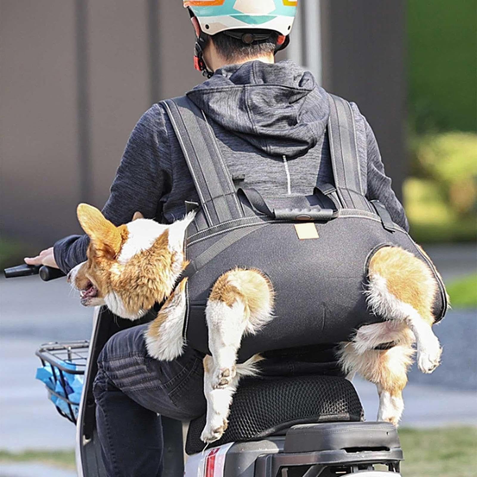 Guinzaglio Sollevatore per Cani Pettorina Regolabile Traspirante | Supporto Sollevamento Cane Per Cani Anziani E Razze Grandi, Alla Mobilità, Riabilitazione, Passeggiate Quotidiane,