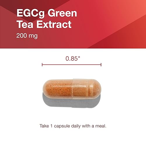 Miniatura 7 de Protocol EGCg 200 mg - 200 mg de extracto de té verde EGCg - Suplemento de fitonutrientes y polifenoles* - Kosher y vegano - 90 cápsulas vegetales